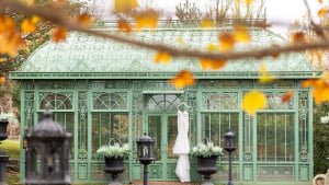 greenhouse-vs-conservatory-vs-sunroom