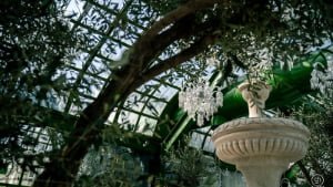 greenhouse-maintaince