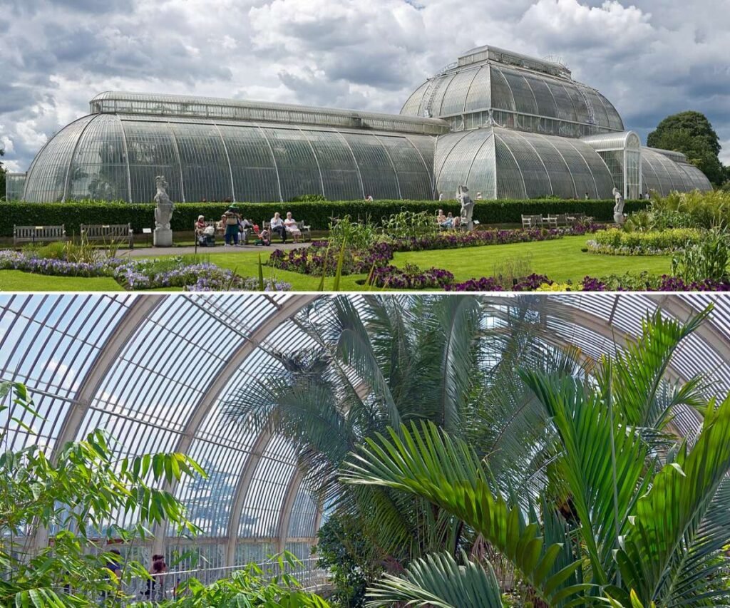 The Palm House at Royal Botanic Gardens, Kew and The Interior of Palm House
