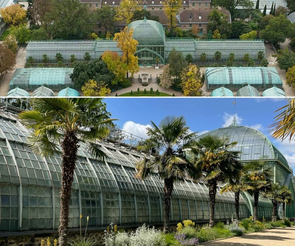 Top View and Side View of Serres d'Auteuil