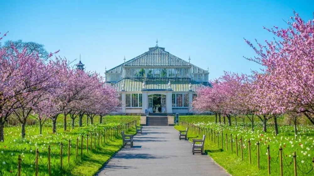 Royal Botanic Gardens, Kew