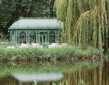 greenhouse in backyard