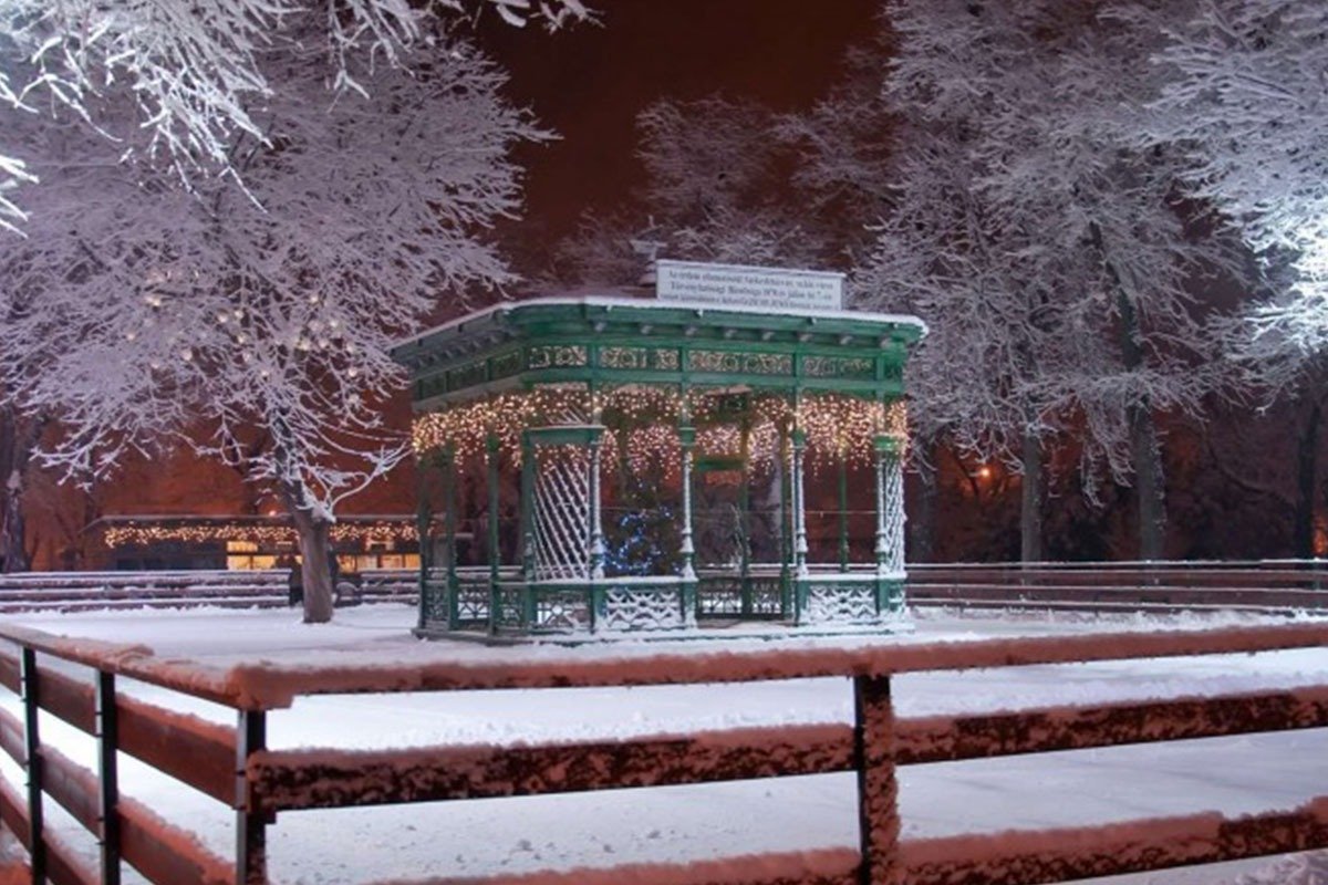 Zichy Park pavilion for park